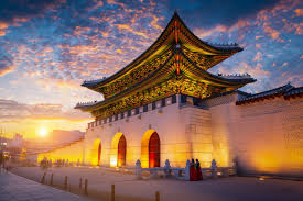 My Exchange Semester in South Korea: From “안녕하세요” to Lifelong Memories